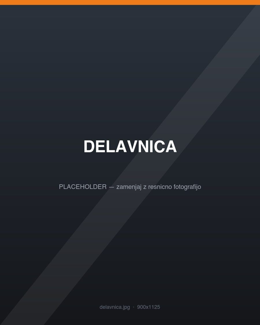 Delo v delavnici